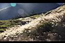 高山芒47.jpg