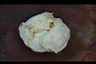 高麗菜49.jpg