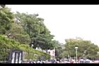 黑板樹43.jpg