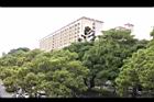 黑板樹45.jpg