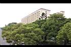 黑板樹46.jpg
