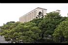 黑板樹47.jpg
