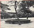 噴水池-柳.梅.jpg