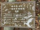 一樣林業兩樣情00.JPG