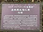 森林與太陽之舞00.JPG