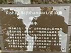 種子00.JPG