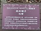 風的種子00.JPG