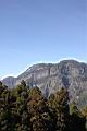 阿里山05.JPG