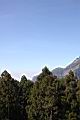阿里山06.JPG