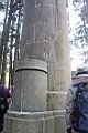 阿里山104.JPG