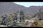 阿里山11.JPG