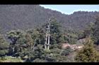 阿里山12.JPG