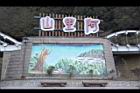 阿里山141.JPG