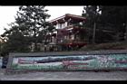 阿里山151.JPG