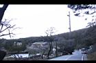 阿里山178.JPG