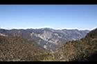 阿里山179.JPG