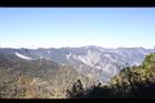阿里山184.JPG