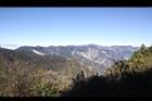 阿里山186.JPG