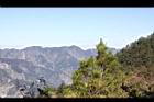 阿里山189.JPG