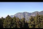阿里山19.JPG