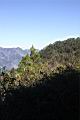 阿里山192.JPG