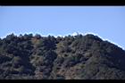 阿里山193.JPG
