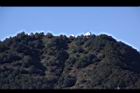 阿里山194.JPG