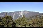 阿里山20.JPG