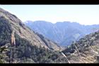 阿里山210.JPG