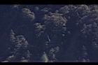 阿里山212.JPG