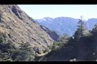 阿里山219.JPG