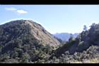 阿里山220.JPG