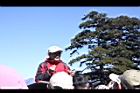 阿里山229.JPG