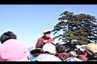 阿里山230.JPG