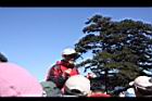 阿里山234.JPG