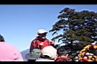 阿里山235.JPG
