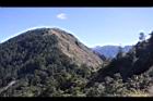 阿里山244.JPG