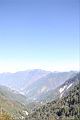 阿里山247.JPG