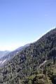 阿里山248.JPG