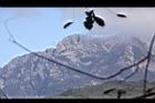 阿里山259.JPG
