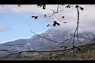 阿里山261.JPG