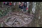 阿里山94.JPG