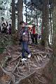 阿里山95.JPG