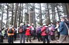 阿里山98.JPG