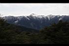1050329合歡山059.JPG