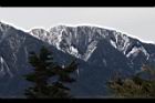 1050329合歡山065.JPG