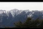 1050329合歡山069.JPG