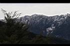 1050329合歡山072.JPG