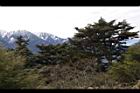 1050329合歡山089.JPG