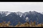 1050329合歡山180.JPG